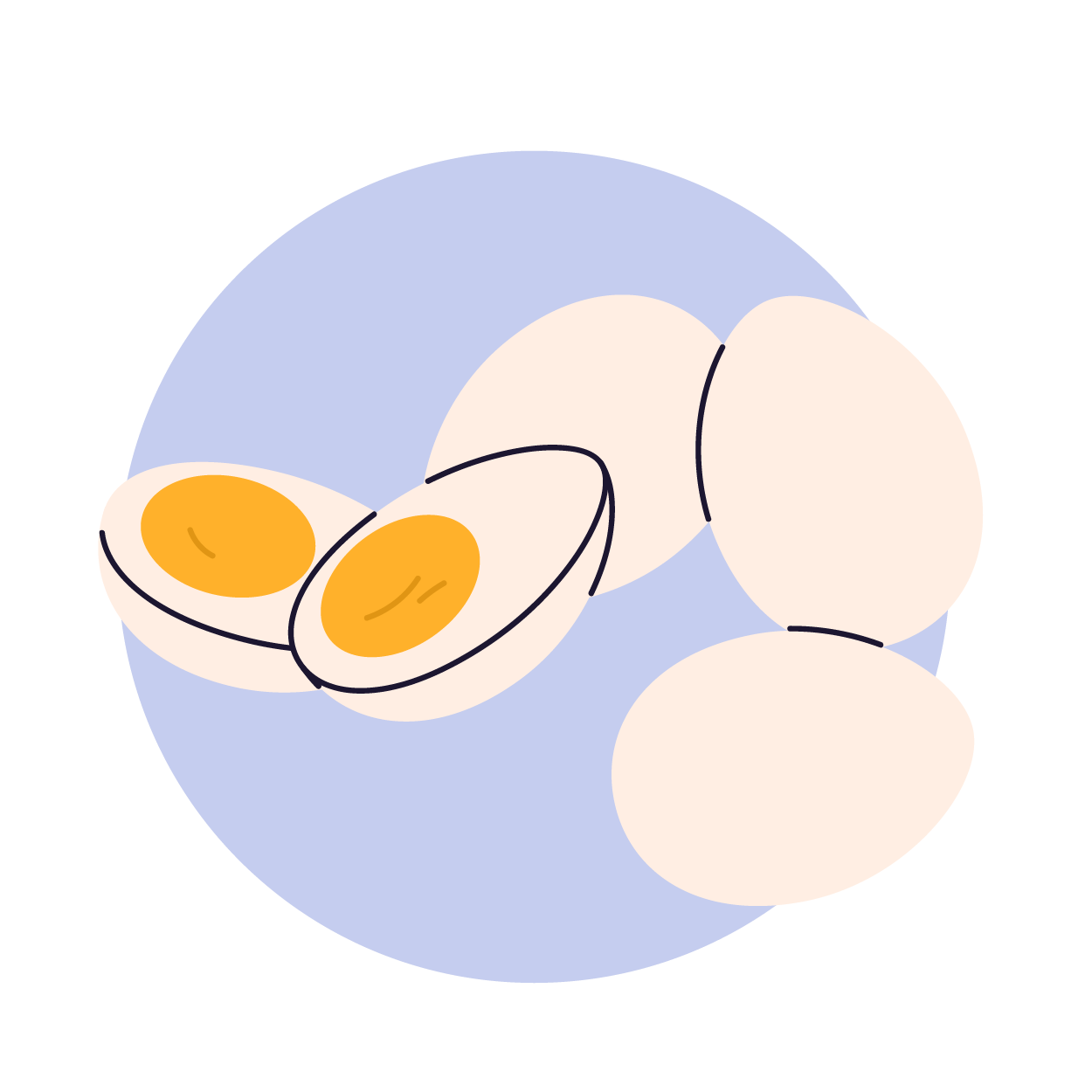Egg dishes and omelets